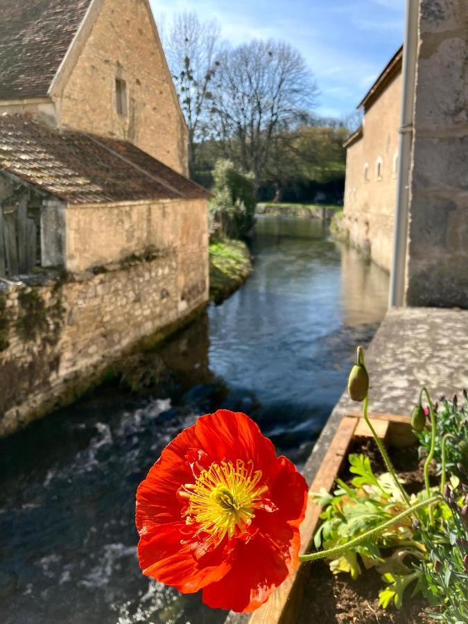 La Treille Muscate Bed & Breakfast Tannay  Luaran gambar